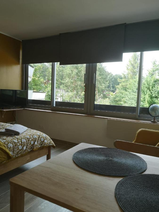 Apartament Le Petit Astro Parking Prive Turckheim Zewnętrze zdjęcie